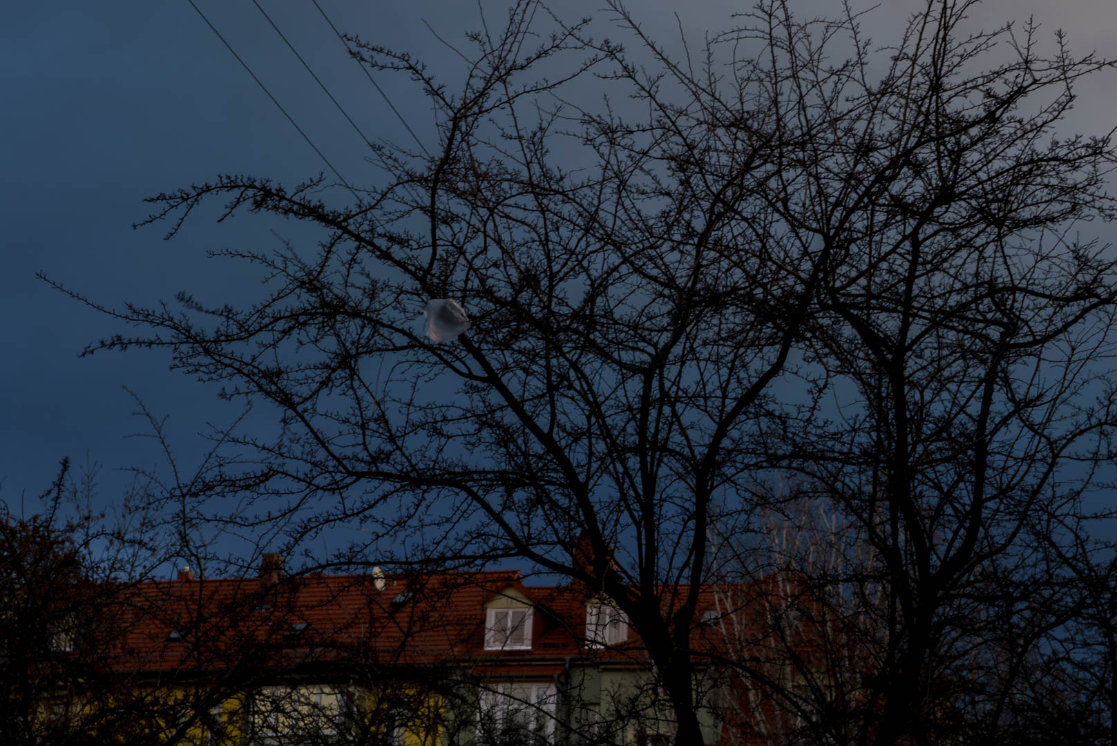 20160222-DSC09598_web