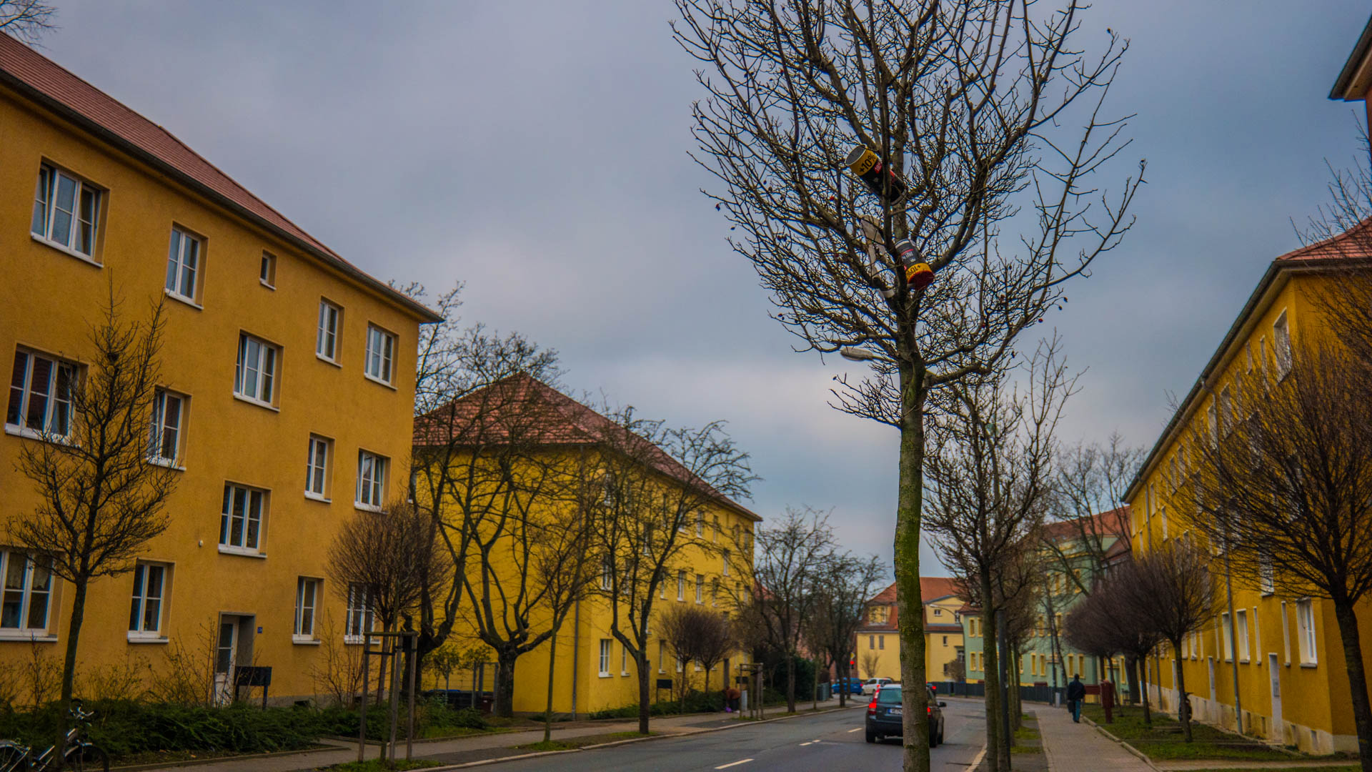 20160314-03140087_web